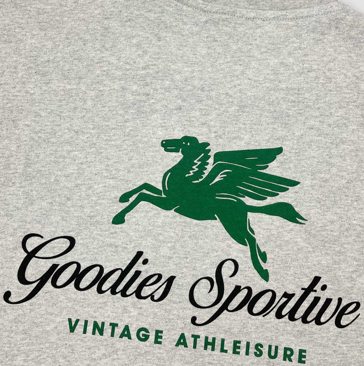 Pegasus Vigore Vigore