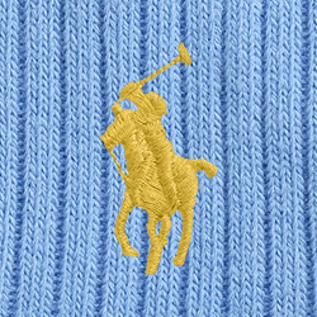Signature Pony Cotton-blend Cre Pale Blue - The Road 1380