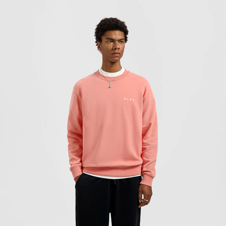 Brushstroke Face Crewneck Burnt Coral