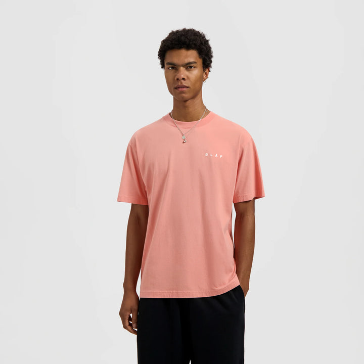 Brushstroke Face Tee Burnt Coral