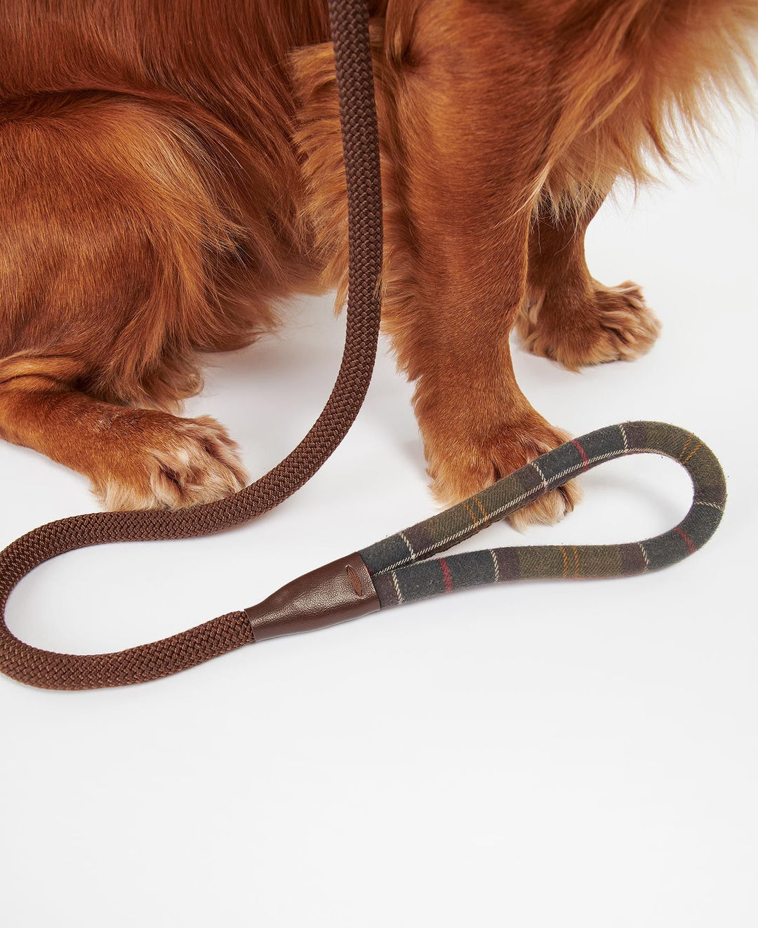 Tartan Trimmed Slip Dog Lead Classic Tartan