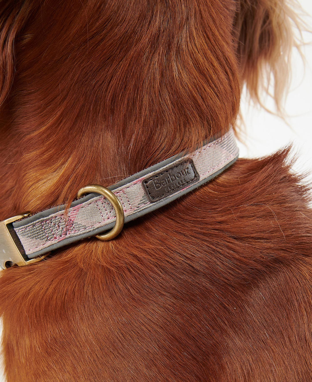 Reflective Tartan Dog Collar Taupe/Pink Tartan