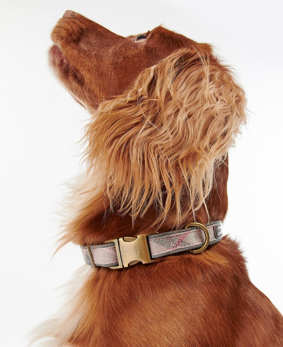 Reflective Tartan Dog Collar Taupe/Pink Tartan