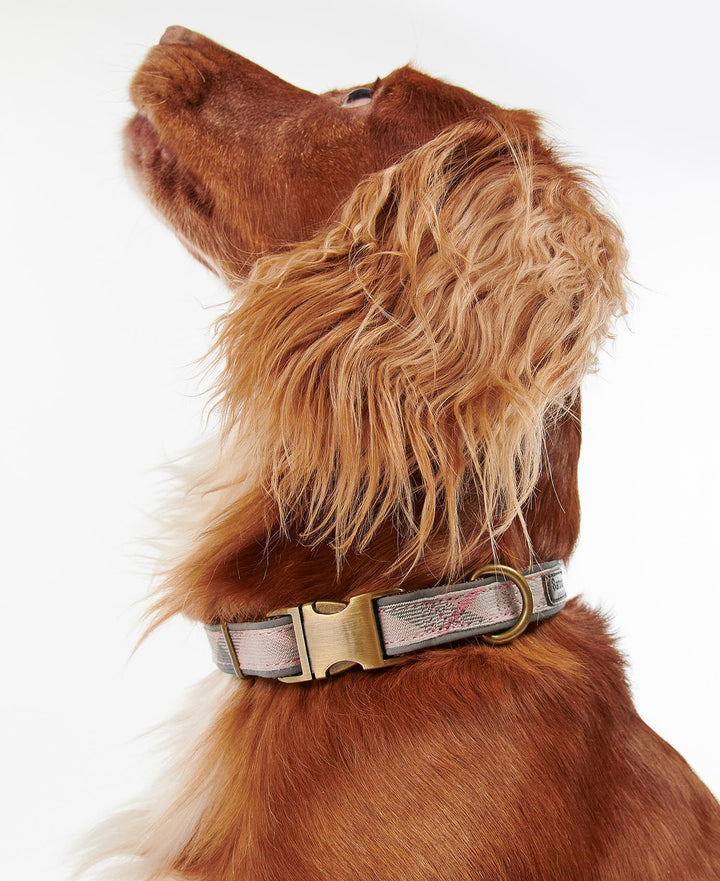 Reflective Tartan Dog Collar Taupe/Pink Tartan