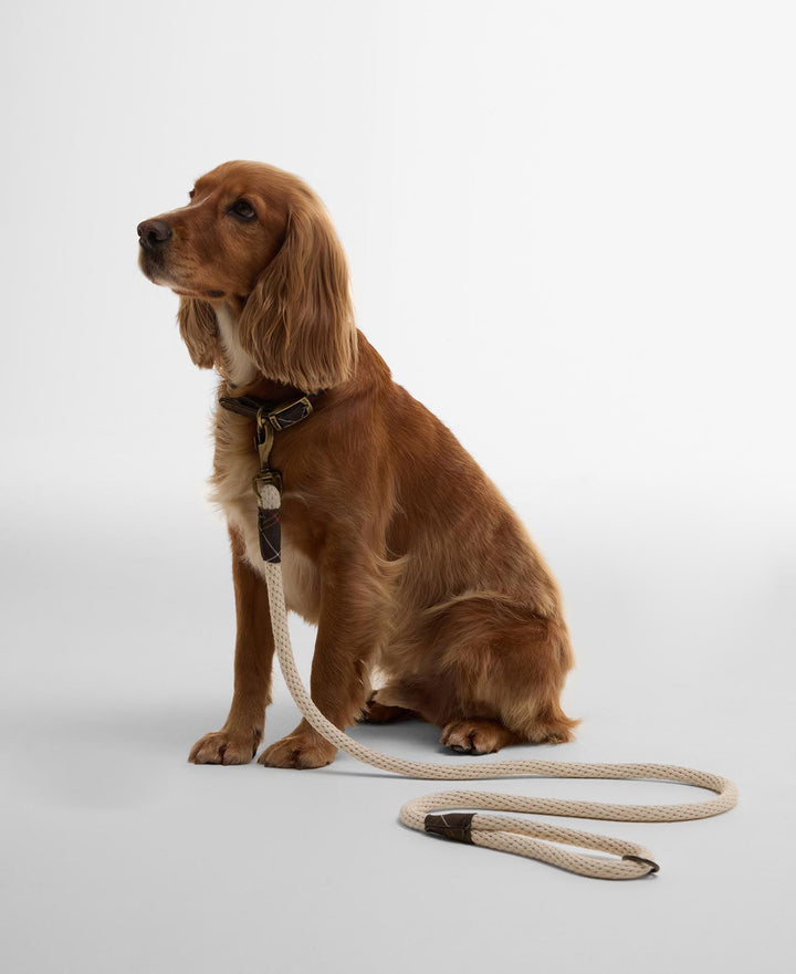 Cotton Rope Dog Lead Natural/Classic