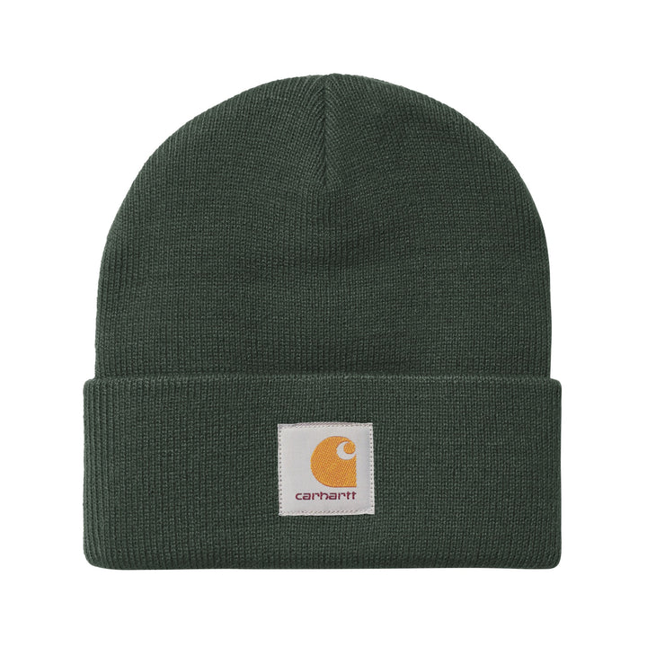 Short Watch Hat Dark Scarab